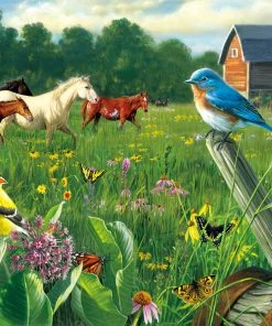 Best reviews of 😀 Buffalo Games 1000 Pieces Country Meadow 🥰