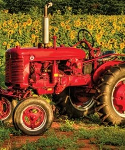 Brand new 🎁 Springbok 1000 Pieces American Made 🎉