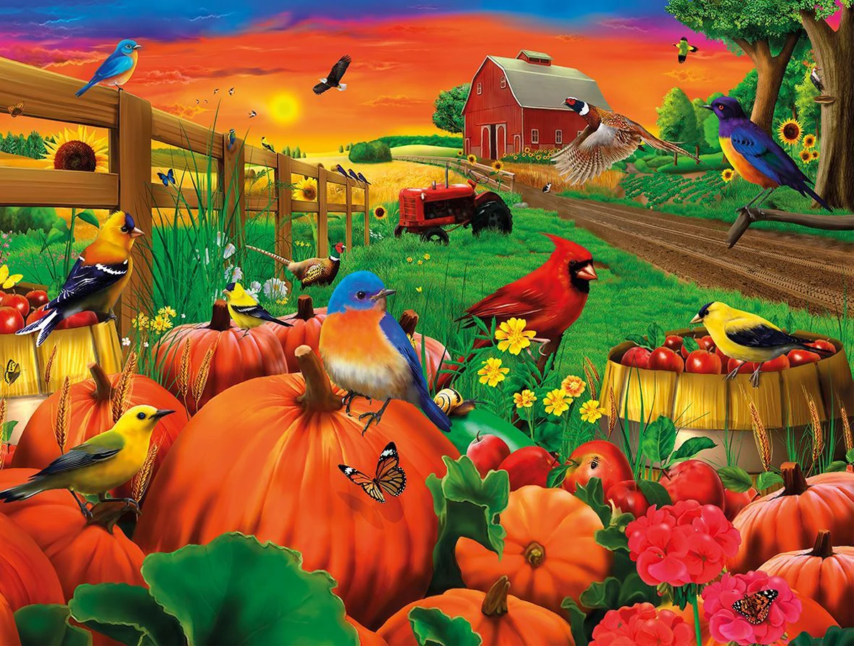 Deals 💯 All Jigsaw Puzzles 500 Pieces Birds Of Pumpkin Farm 💯