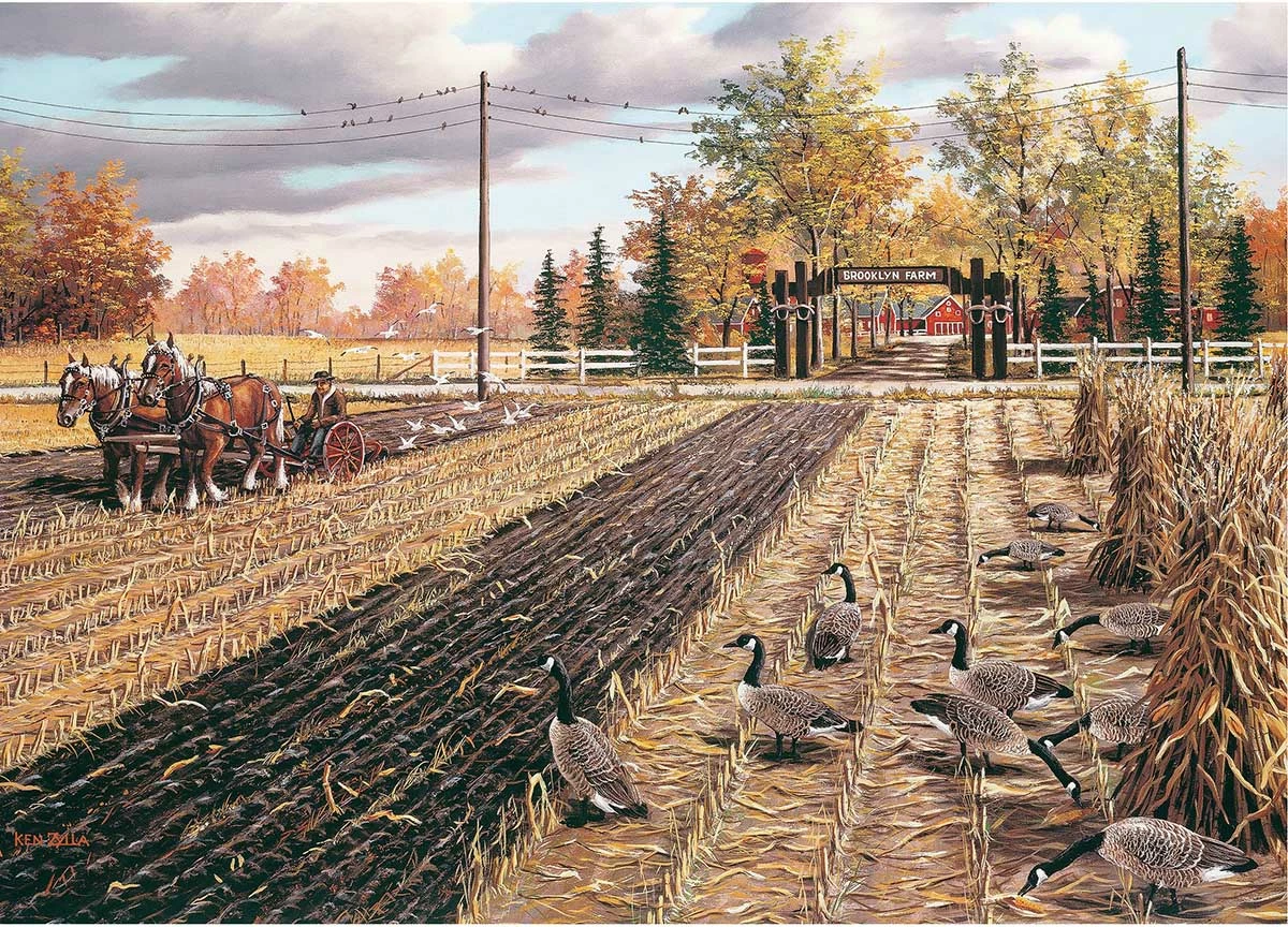 Budget π River's Edge 1000 Pieces Fall Plowing β