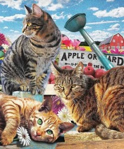 Budget 🔔 SunsOut 300 Pieces Apple Orchard 👍