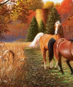 Cheap ⭐ SunsOut 1000 Pieces Out For A Run 😀