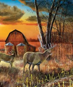 Top 10 ✨ SunsOut 300 Pieces Sharing The Bounty 😉