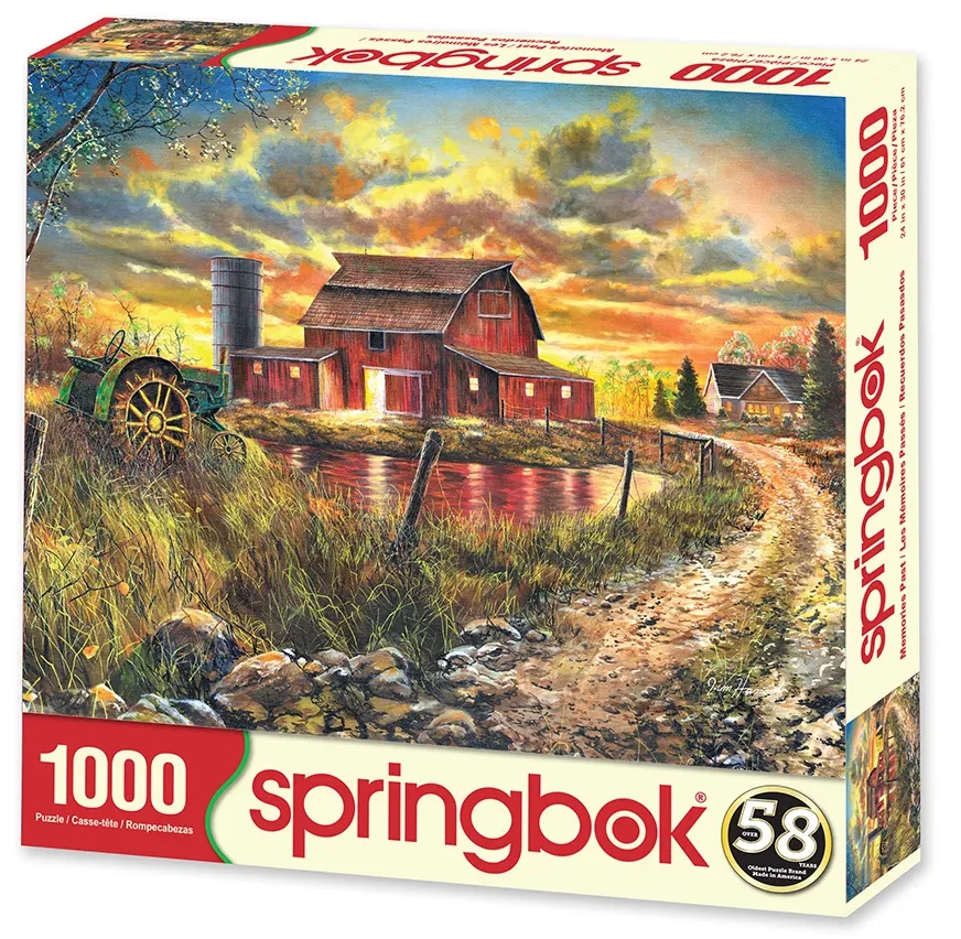 Top 10 ๐คฉ Springbok 1000 Pieces Memories Past โ - Image 2
